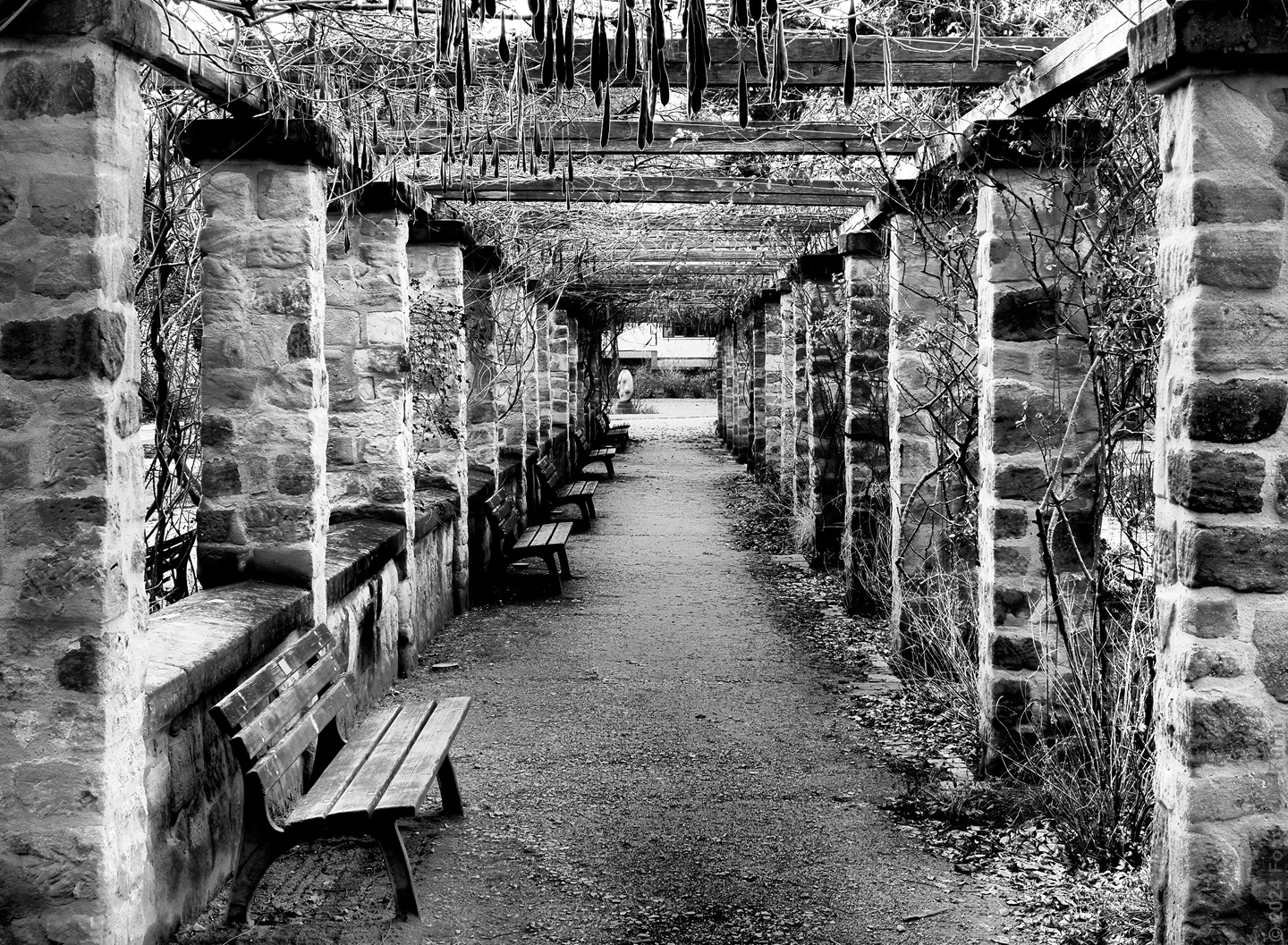 Im Stadtpark