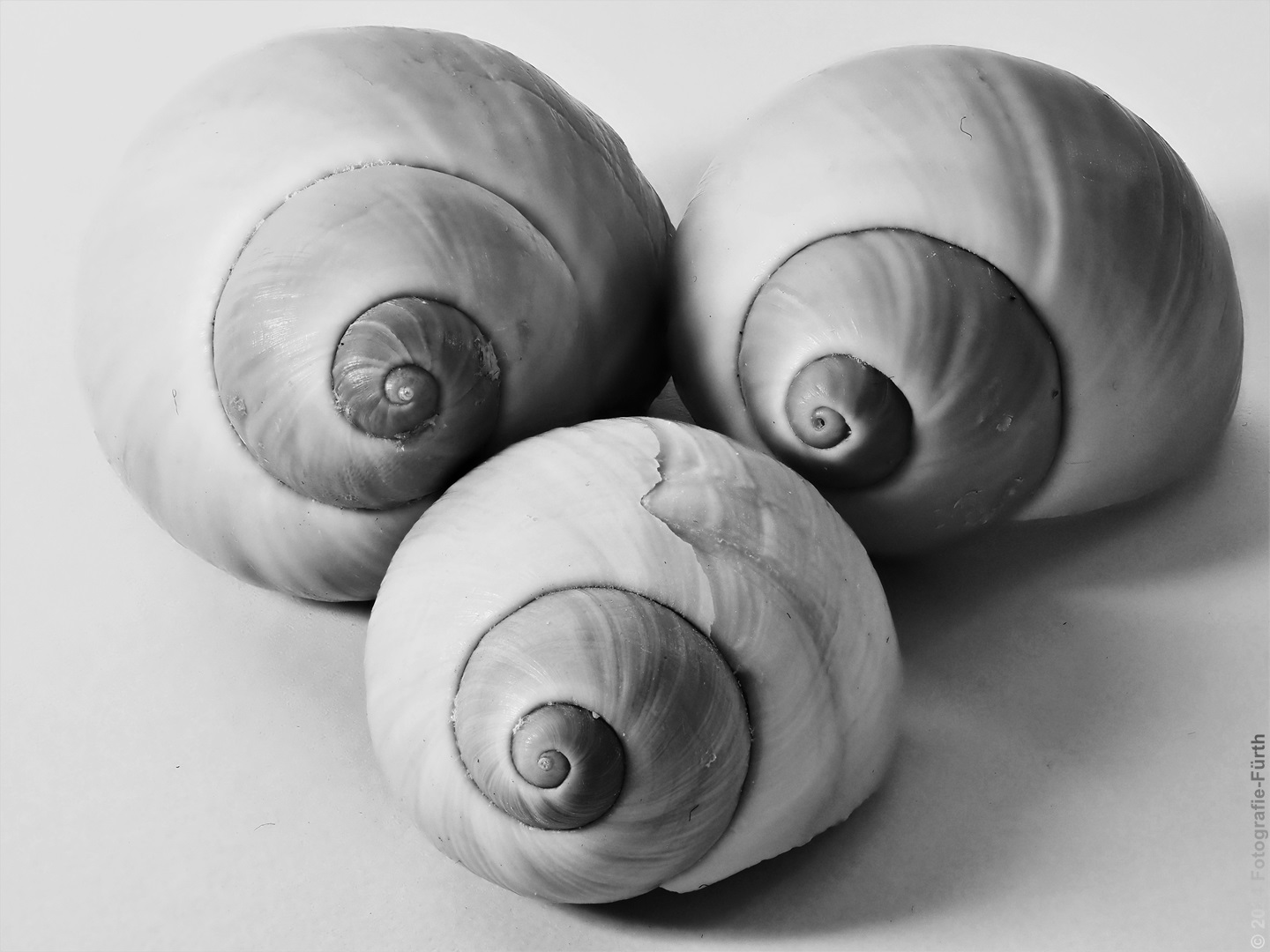 Mupfeln